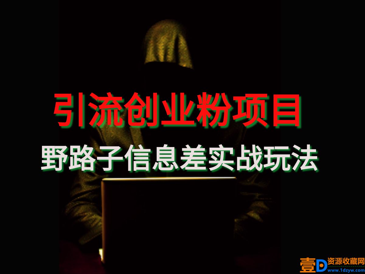 【引流创业粉】野路子信息差引流玩法实战教学